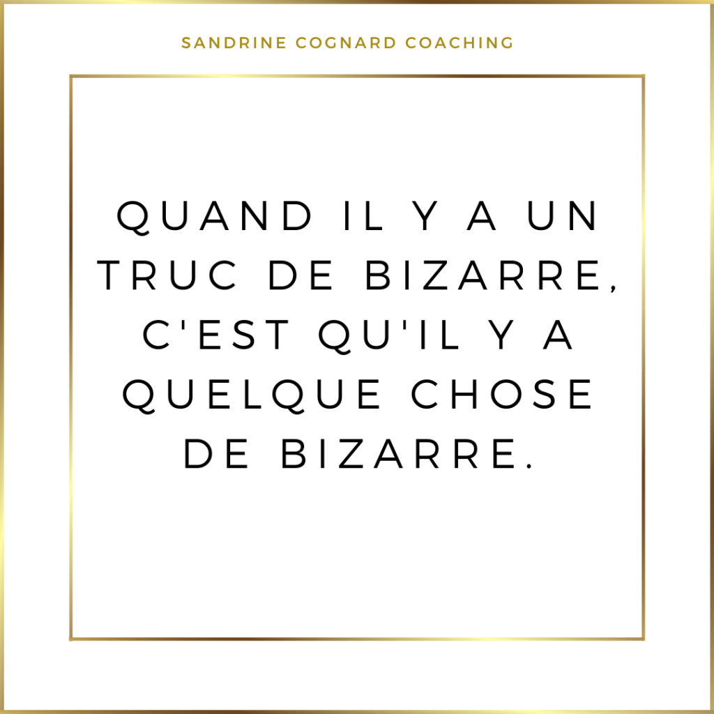 Quand il y a un truc de bizarre c&rsquo;est qu&rsquo;il y a quelque chose de&nbsp;bizarre.